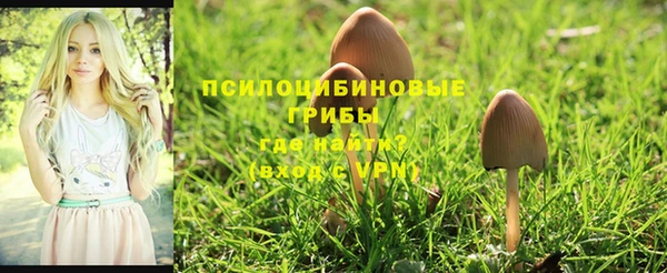 круглые Березники