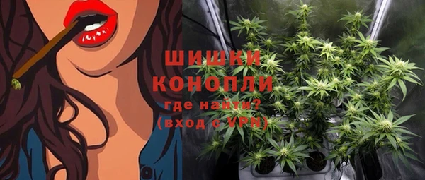 спиды Липки