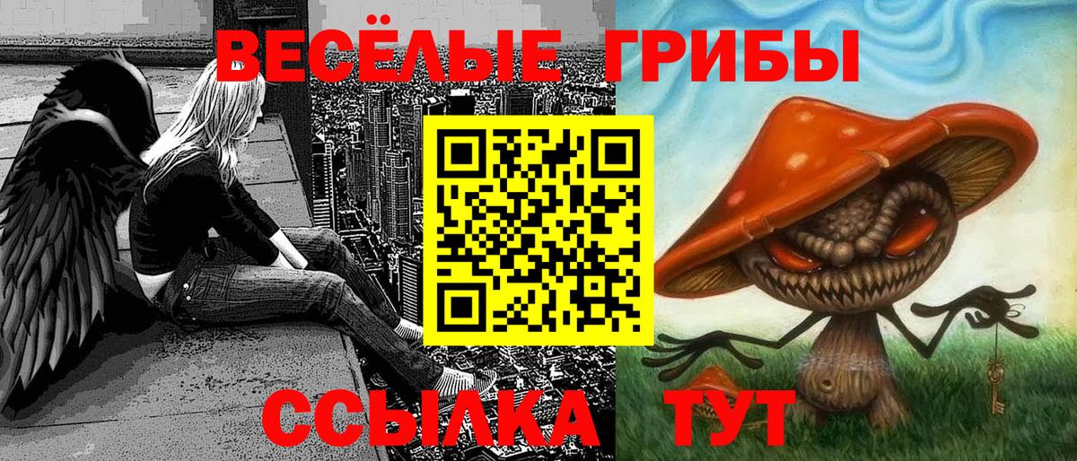 Галлюциногенные грибы Magic Shrooms  Вход с VPN  купить закладку  Уссурийск 