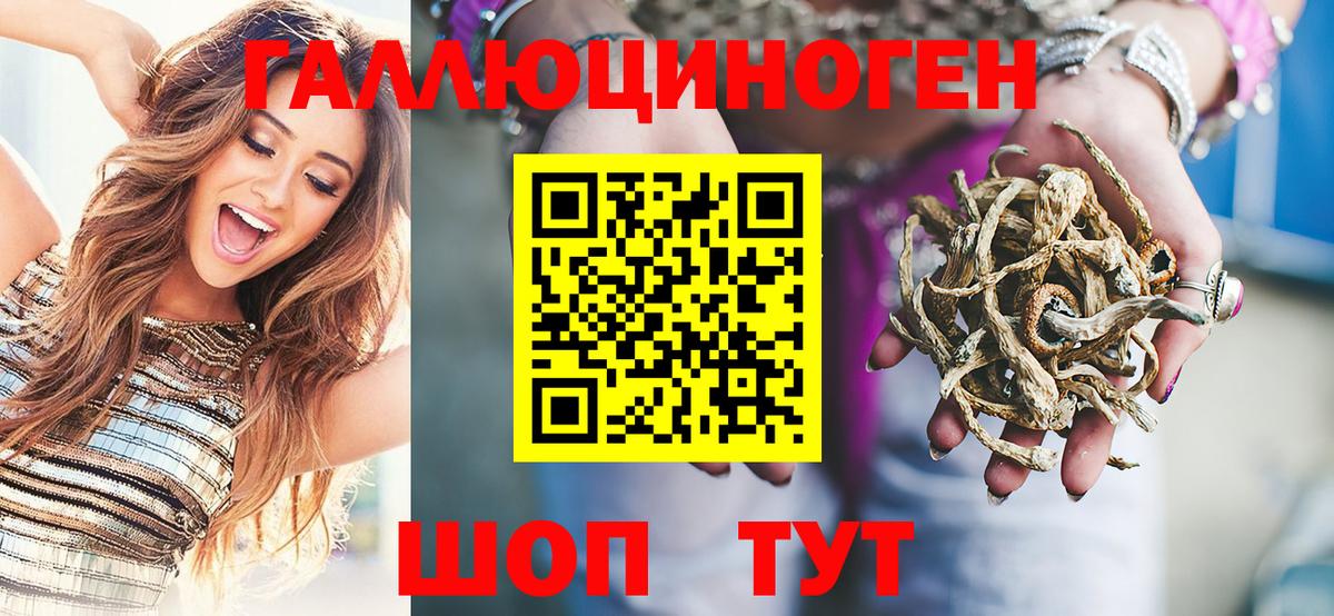 Галлюциногенные грибы Psilocybe  дарнет шоп  Уссурийск  Псилоцибиновые грибы Psilocybe 